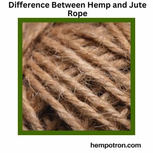 Difference Between Hemp and Jute Rope Featured Image