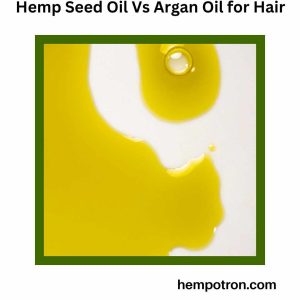 Hemp Seed Oil Vs Argan Oil for Hair Featured Image