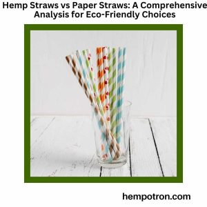 Hemp Straws vs Paper Straws A Comprehensive Analysis for Eco-Friendly Choices Featured Image