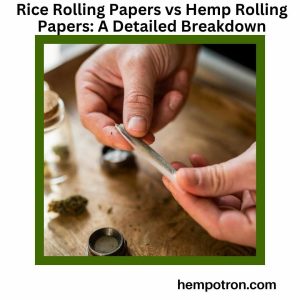Rice Rolling Papers vs Hemp Rolling Papers A Detailed Breakdown Featured Image