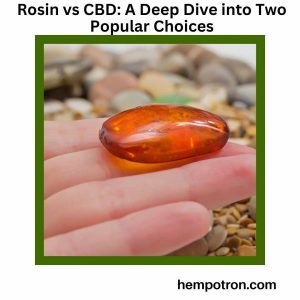 Rosin vs CBD A Deep Dive into Two Popular Choices Featured Image