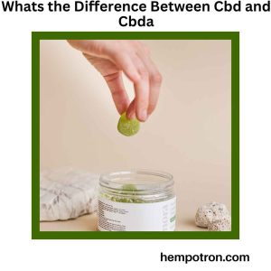 Whats the Difference Between Cbd and Cbda Featured Image