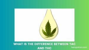 What is the Difference Between TAC and THC Featured Image