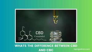 Whats the Difference Between CBD and CBC Featured Image