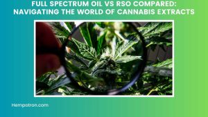 Full Spectrum Oil vs RSO Compared Navigating the World of Cannabis Extracts Featured Image