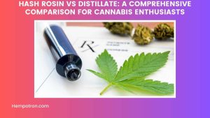 Hash Rosin vs Distillate A Comprehensive Comparison for Cannabis Enthusiasts Featured Image58