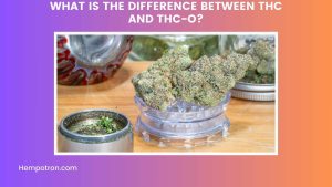 What is the Difference Between THC and THC-O Featured Image